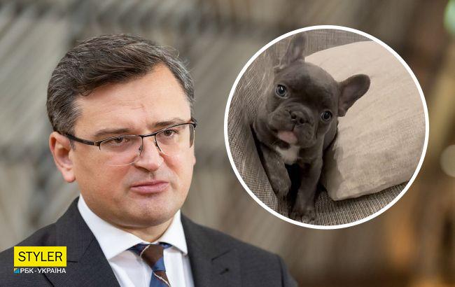 Дмитрий Кулеба забрал себе "осиротевшего" щенка из Мариуполя: видео с маленьким Мариком