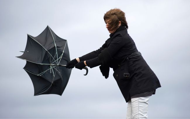 КМДА попереджає киян про сильні пориви вітру 12-13 листопада