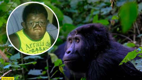 Дитина "народилася" від шимпанзе: в Анголі експерти перевіряють гени хлопчика