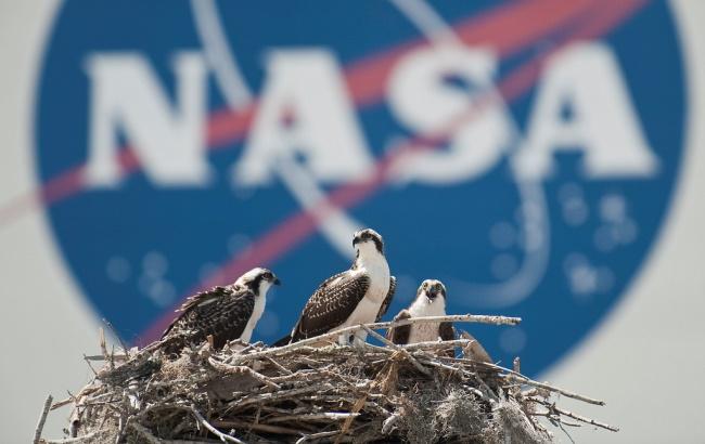 Українців запросили на стажування в NASA