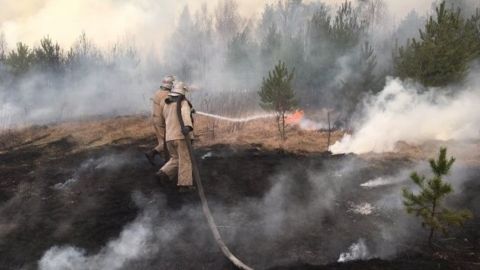 У Чорнобильській зоні третій день гасять лісову пожежу