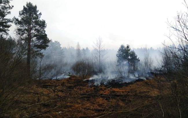 У Житомирській області локалізували ще 2 осередки лісової пожежі