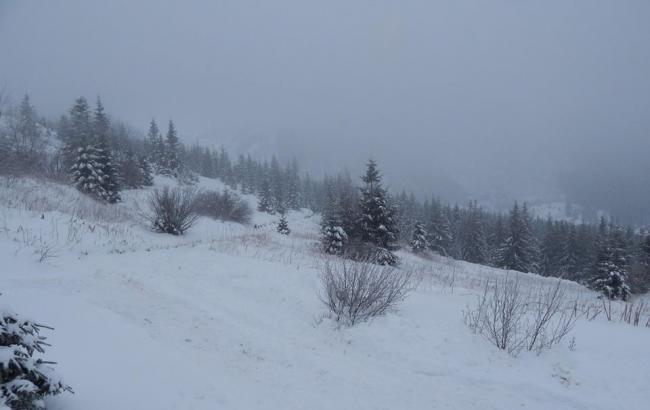 В Карпатах высота снежного покрова достигает 33 см