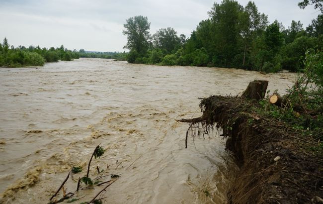 В Івано-Франківську йдуть паводки: рівень річки знизився на 1,5 метра