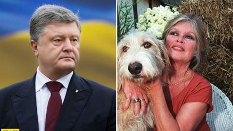 Брижит Бардо призывает Порошенко спасти животных из зверинца в Покровске