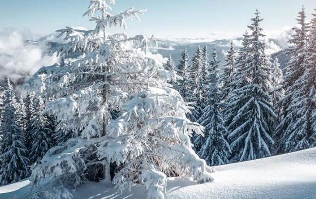 В Карпатах вже випало 80 см снігу