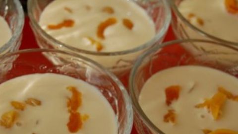 Нежный домашний десерт без выпечки: как приготовить желе из ряженки с курагой