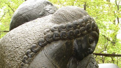 Хроніки космічної держави: у Росії провели конкурс із копання могил (відео)