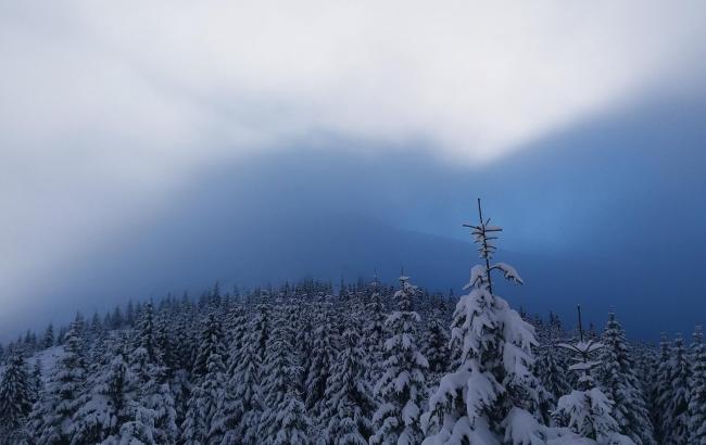 Висота снігового покриву в Карпатах продовжує зростати