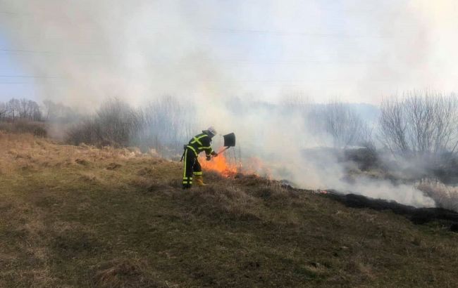 За сутки в Украине произошло почти 200 пожаров в природных экосистемах