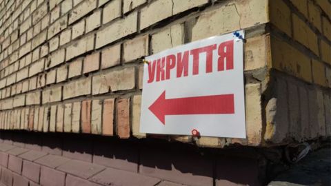 В Украине могут изменить правила пребывания животных в укрытиях: что планируют