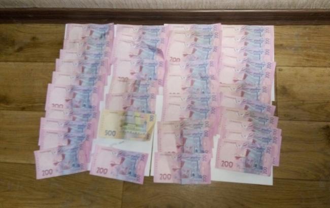 Правоохоронці затримали на хабарі головного інспектора Києва з екології