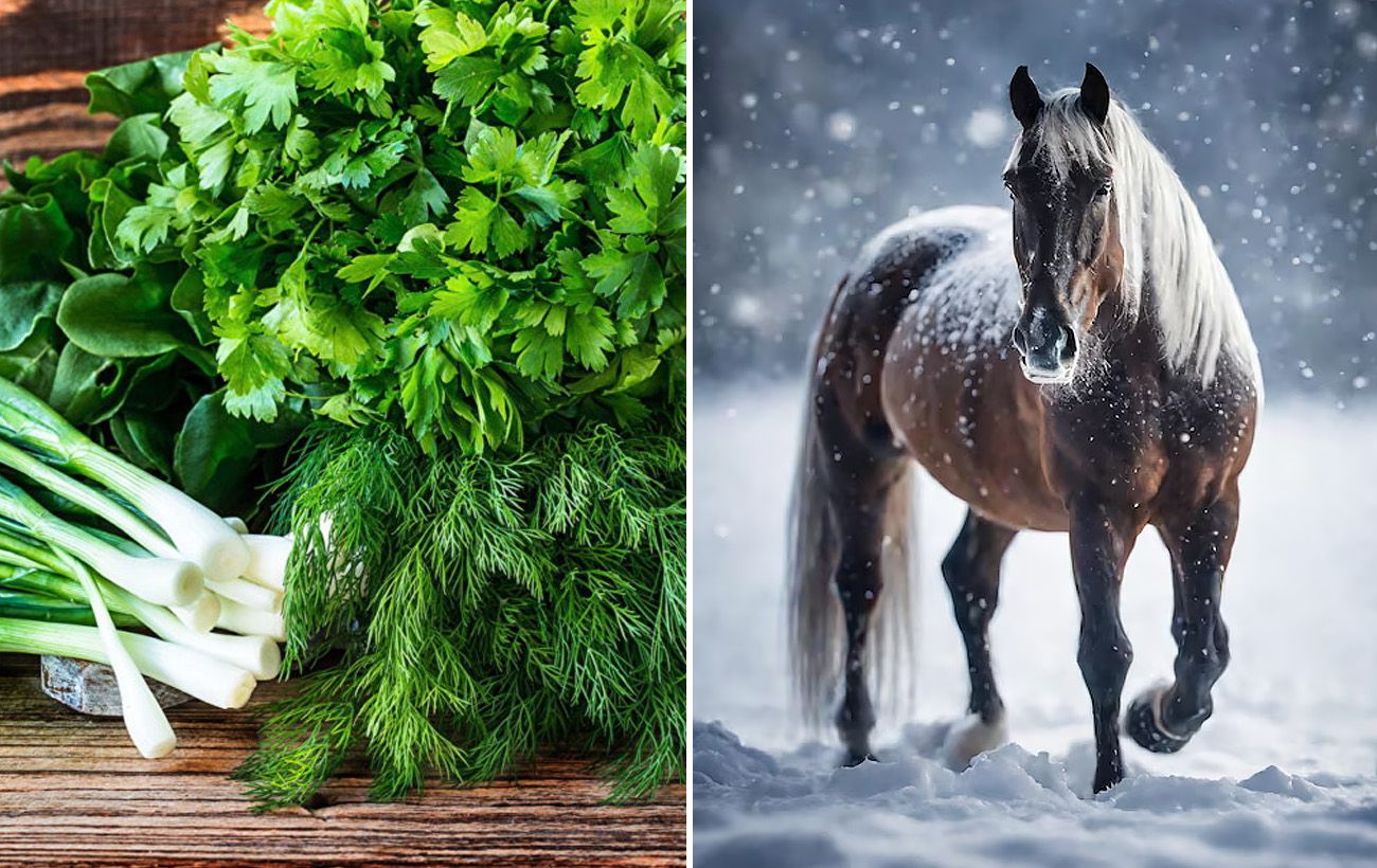 Що поставити на стіл, щоб задобрити Коня 2026? Один інгредієнт, який принесе гроші