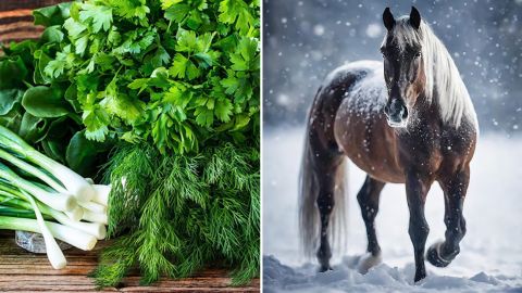 Що поставити на стіл, щоб задобрити Коня 2026? Один інгредієнт, який принесе гроші