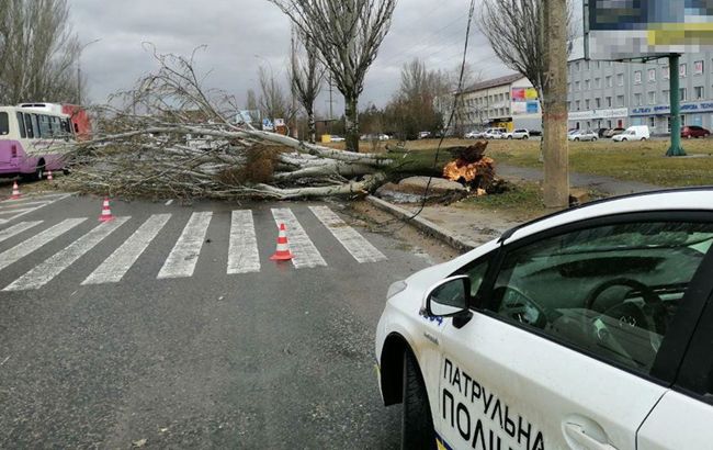 Последствия непогоды в Николаевской области: повреждены кровли 257 жилых домов