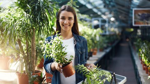 Что будет, если добавить аспирин на растения? Хитрость опытных садоводов