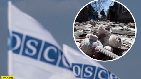 На Донбассе погиб ребенок: в ОБСЕ назвали причину страшной трагедии