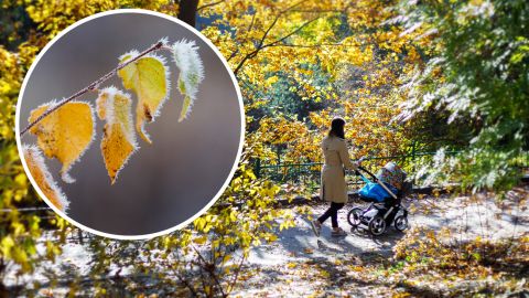 Температура стремительно падает: какие области первыми накроет минусами