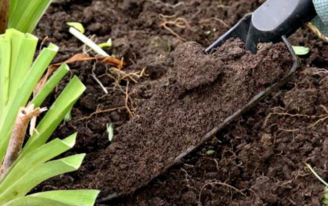 Украина ежегодно теряет плодородные почвы на 5 млрд долл., - аудитор