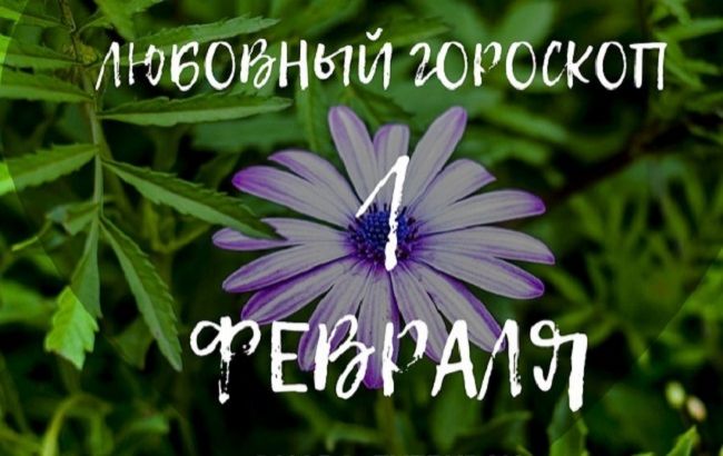 Оставьте эксперименты на потом: любовный гороскоп для знаков Зодиака на 1 февраля