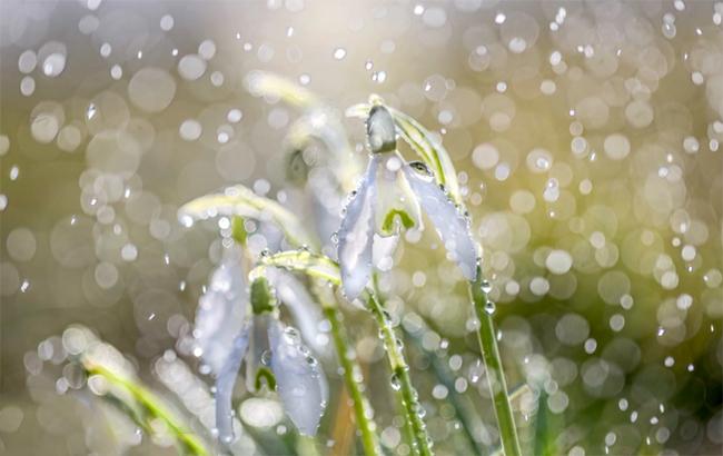 Зниження температури: синоптик дала українцям прогноз на 12 квітня