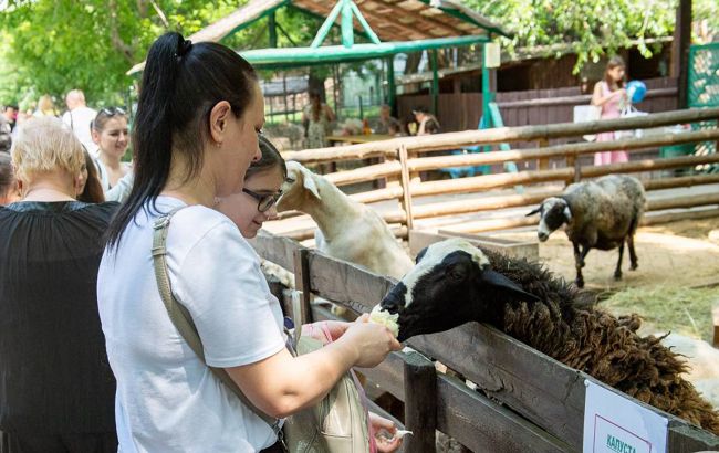 Беспилотник ударил по Одесскому зоопарку: погибло животное