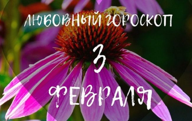 Взвесьте все "за" и "против": любовный гороскоп для знаков Зодиака на 3 февраля