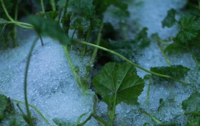 Зима близко: в Черкассах выпал первый снег