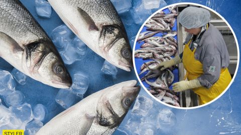 Риба здатна викликати нервові розлади: медики б'ють на сполох