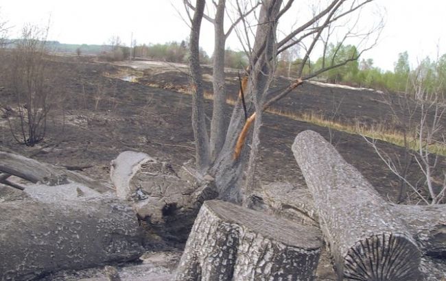 Пожежа під Чорнобилем: ДСНС поливає пеньки і залишки сухої деревини