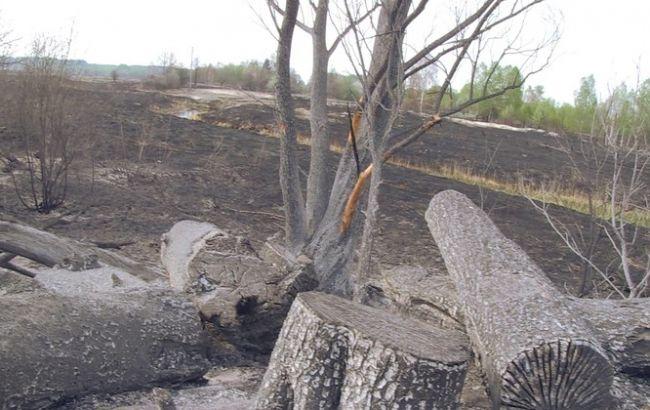 Пожежа під Чорнобилем: триває проливка залишків сухої деревини, - ДСНС