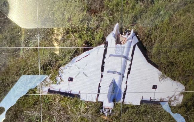 На полігоні у Литві знайшли дрон, який залетів з Білорусі
