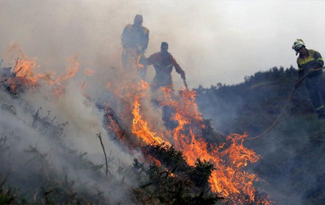 В Іспанії через лісові пожежі евакуювали 2500 людей