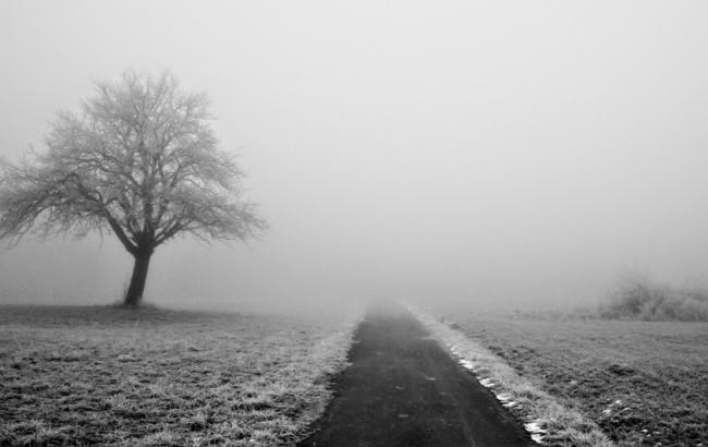 Синоптики предупреждают о тумане в Украине 2 февраля