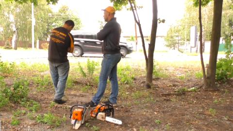 Вырубка леса в Гостомеле: заседание суда перенесли на неопределенный срок