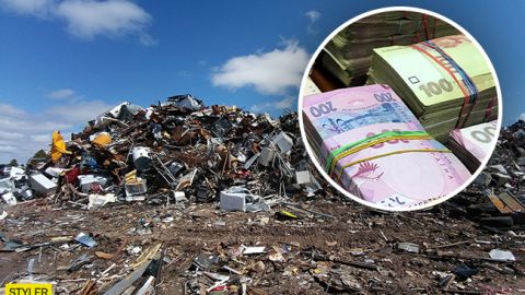 Ее поступок поразил всех: под Одессой женщина нашла на свалке крупную сумму денег