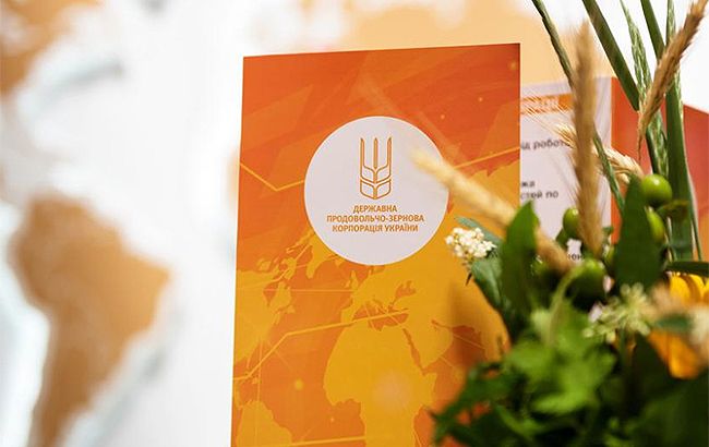 У державну власність повернули 14 незаконно проданих комплексів ДПЗКУ