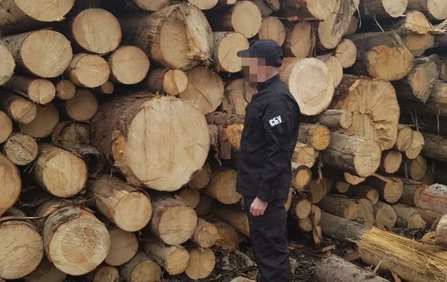 СБУ остановила схему продажи леса из заповедной зоны в Черновицкой области