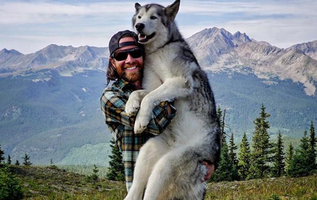 Вовкособ Локі - найщасливіша собака в світі