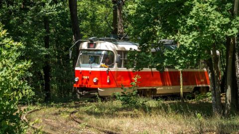 У Києві відновили рух трамваїв у Пущу-Водицю