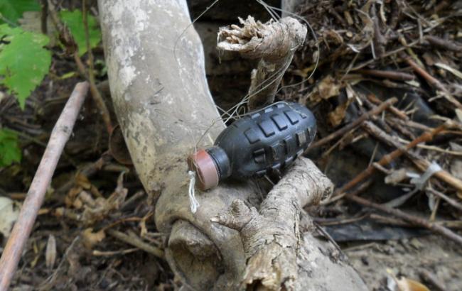 В Луганській обл. за день 3 людини підірвалися на розтяжках, - ЛНР