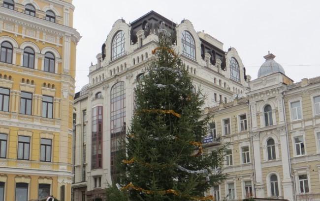В Киеве установили первую новогоднюю елку