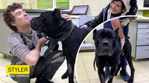 У Києві шукають новий будинок для пса Дарта, який 5 днів охороняв мертвого господаря (фото)
