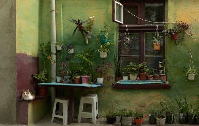 Google предложил всем желающим "почувствовать Одессу"