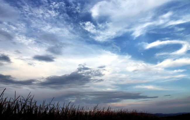 Погода на сегодня: на западе Украины дожди и грозы, температура до +37