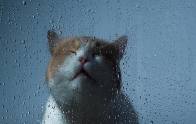 Погода на сьогодні: в Україні дощі, температура до +10