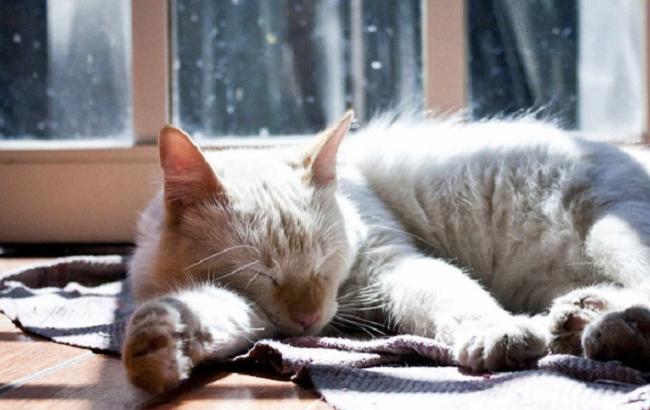 Синоптик обрадовала украинцев прогнозом погоды