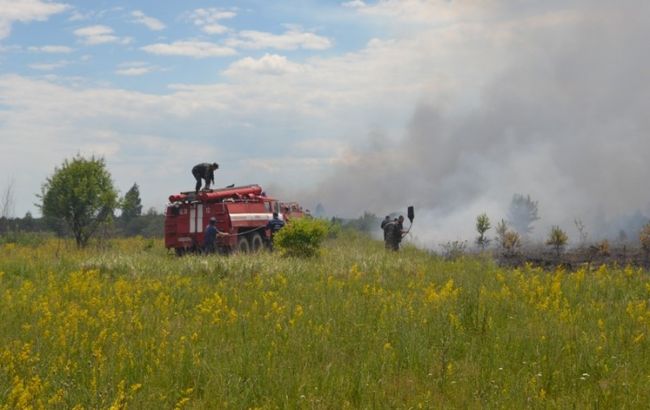 Пожар под Чернобылем тушат уже пятые сутки