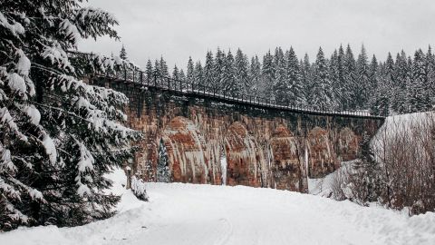 Відпустка в Карпатах стане доступнішою: куди можна поїхати на відпочинок в гори взимку