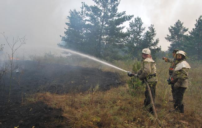 ГСЧС предупреждает о чрезвычайной пожарной опасности в Киеве 17-19 июня